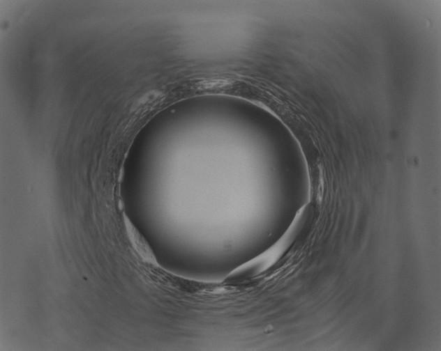 X0000073921441200608181037