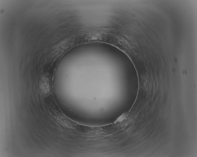 X0000073921442200608181037