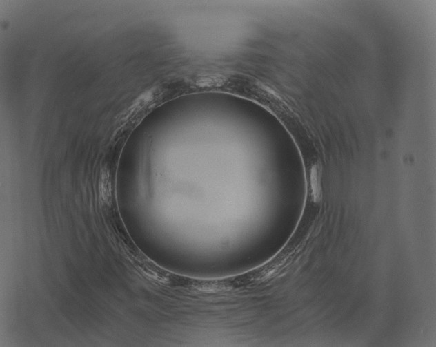 X0000073921443200608181037