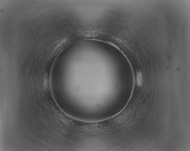 X0000073921444200608181037