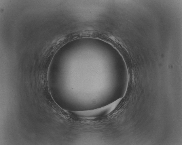 X0000073921445200608181037