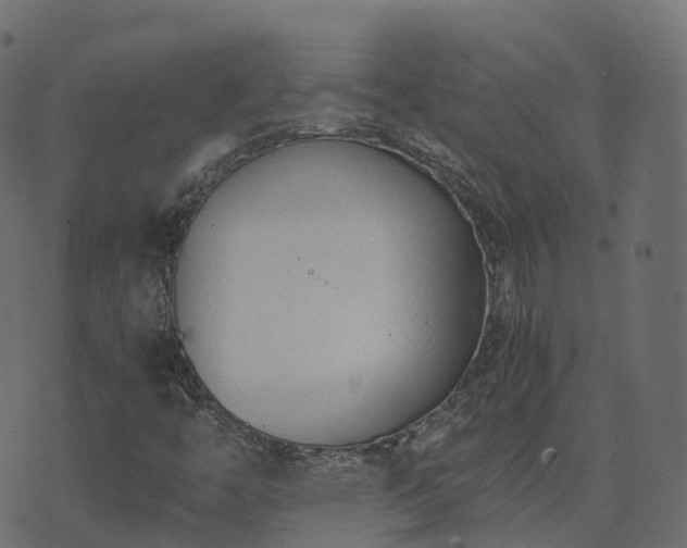 X0000073921446200608181037