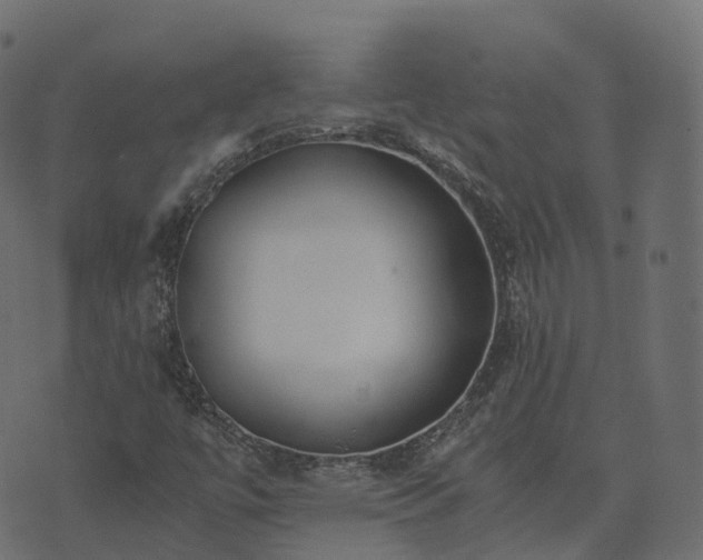 X0000073921447200608181037