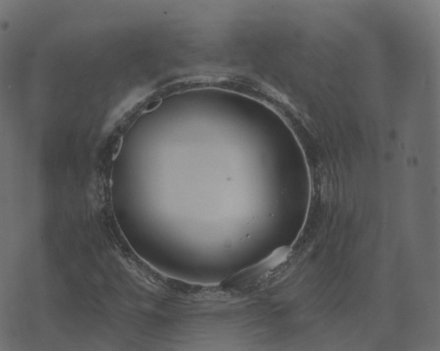 X0000073921448200608181037