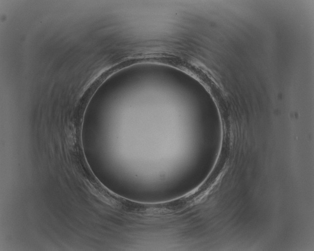 X0000073921449200608181037