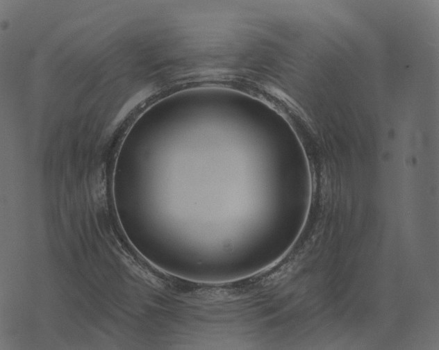 X0000073921450200608181037