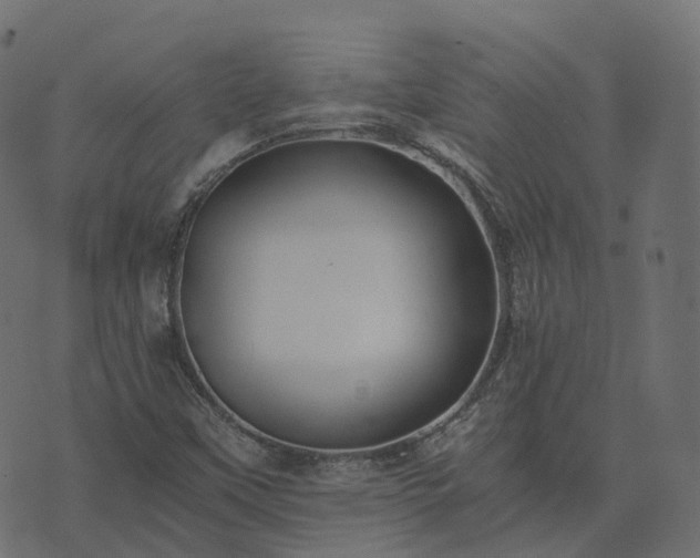 X0000073921451200608181037