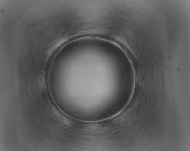 X0000073921452200608181037