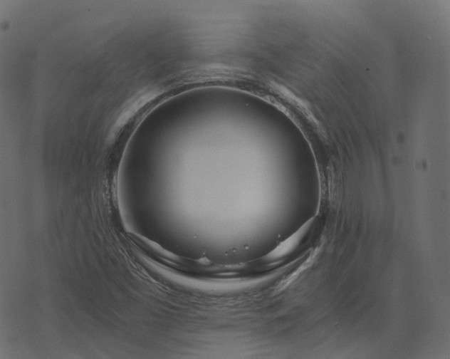 X0000073921453200608181037