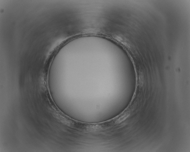 X0000073921454200608181037