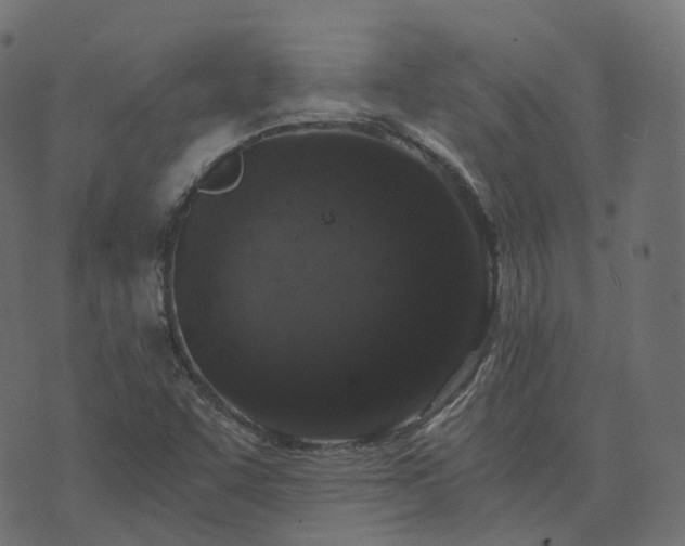 X0000073921455200608181037