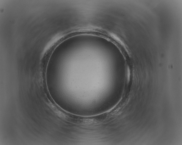 X0000073921456200608181037