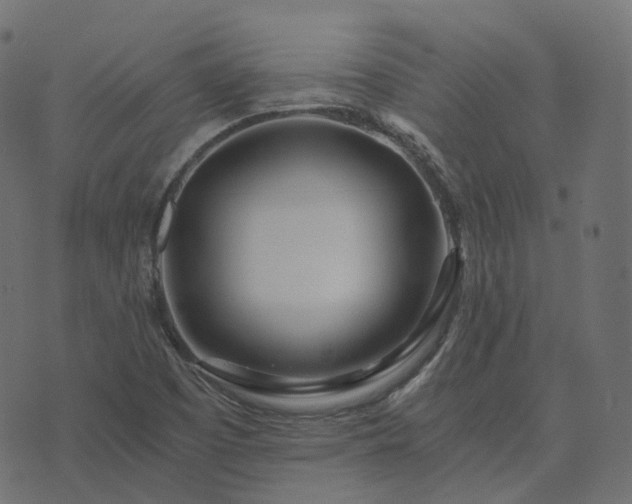 X0000073921457200608181037