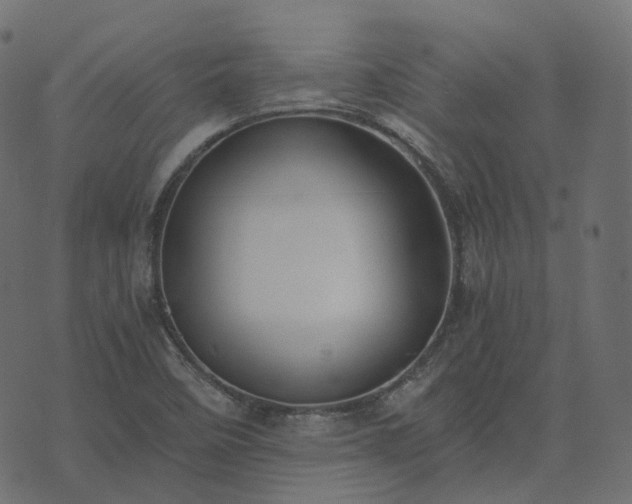 X0000073921458200608181037