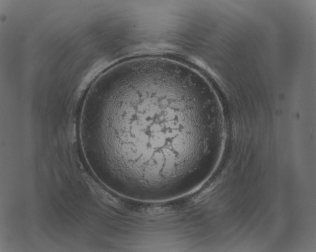 X0000073921459200608181037