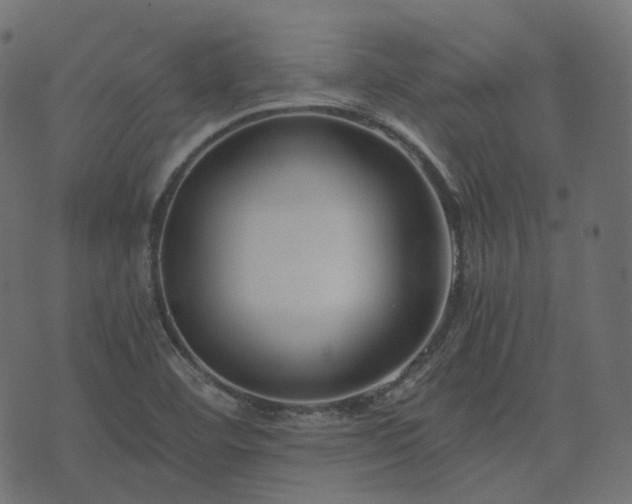 X0000073921460200608181037