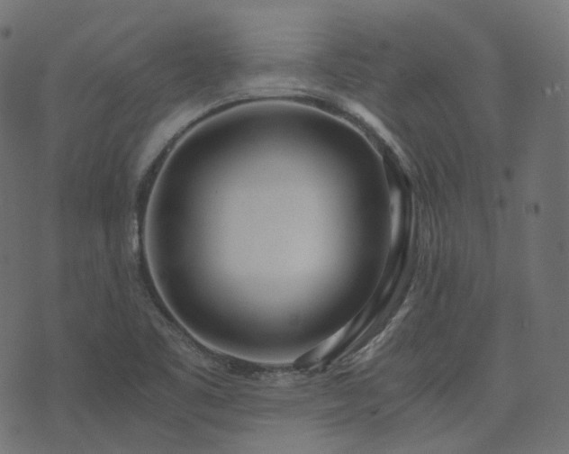 X0000073921461200608181037