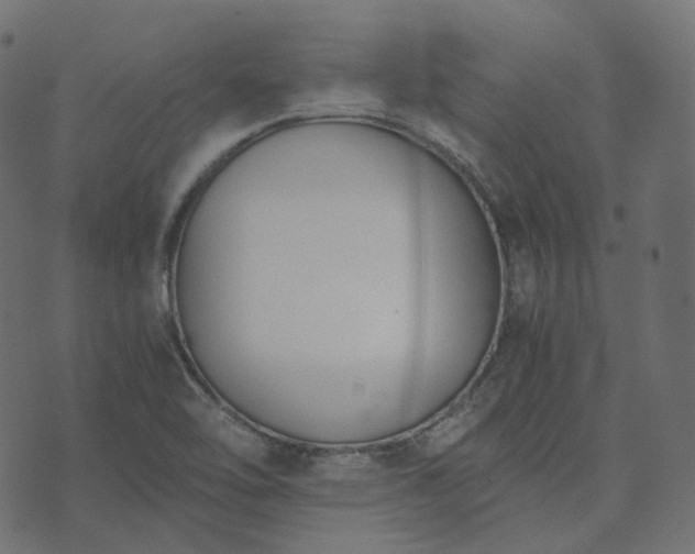 X0000073921462200608181037