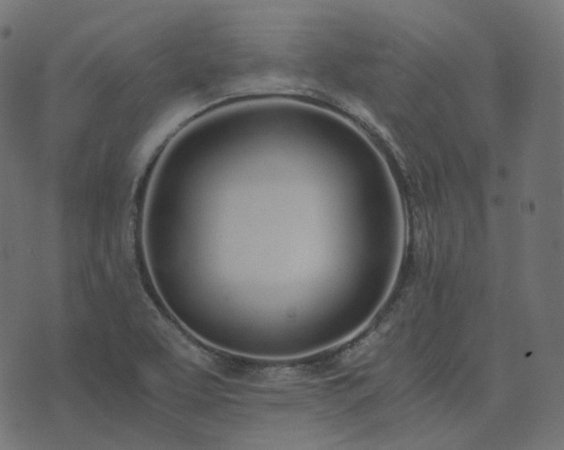 X0000073921463200608181037