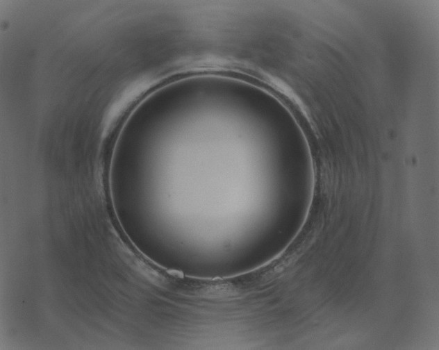 X0000073921464200608181037