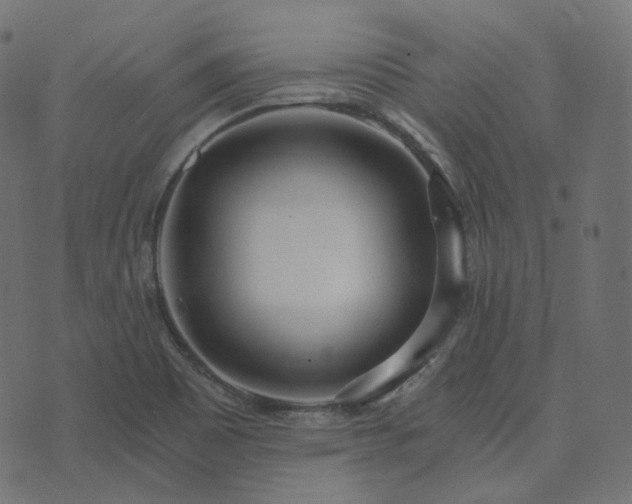 X0000073921465200608181037