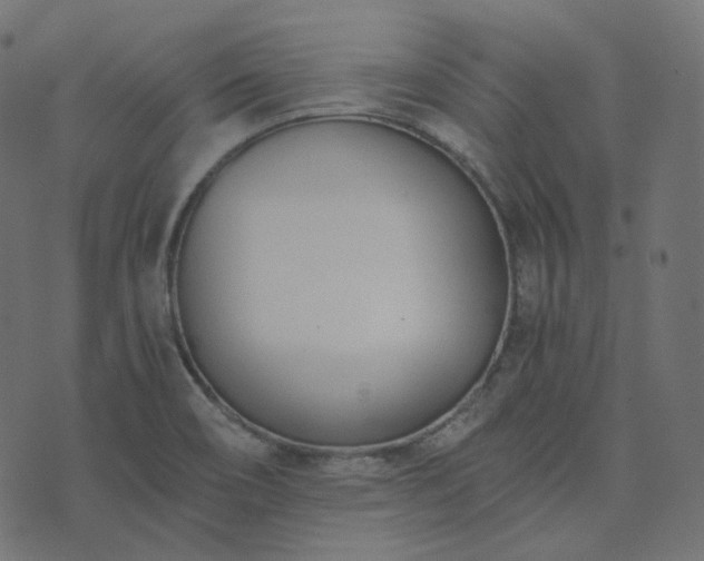 X0000073921466200608181037