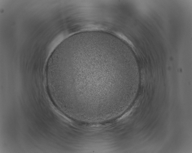 X0000073921467200608181037