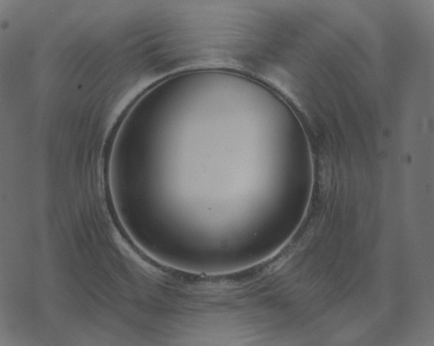 X0000073921468200608181037