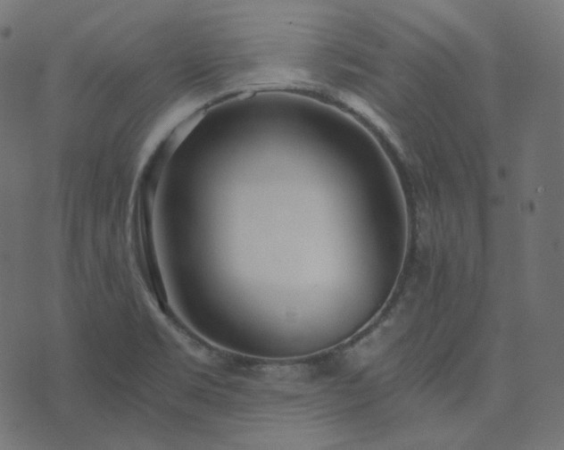 X0000073921469200608181037