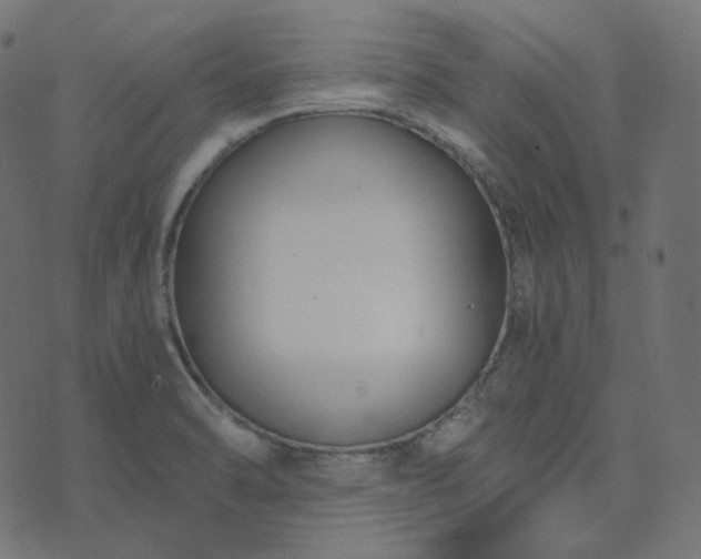 X0000073921470200608181037