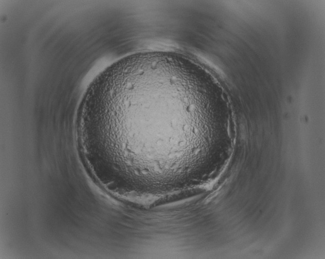 X0000073921471200608181037