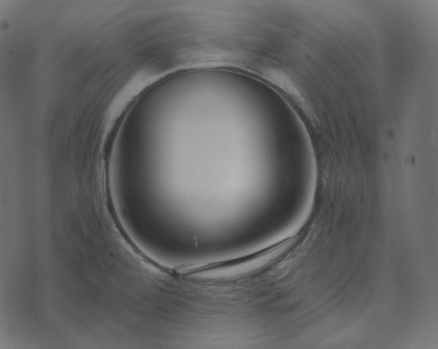 X0000073921472200608181037