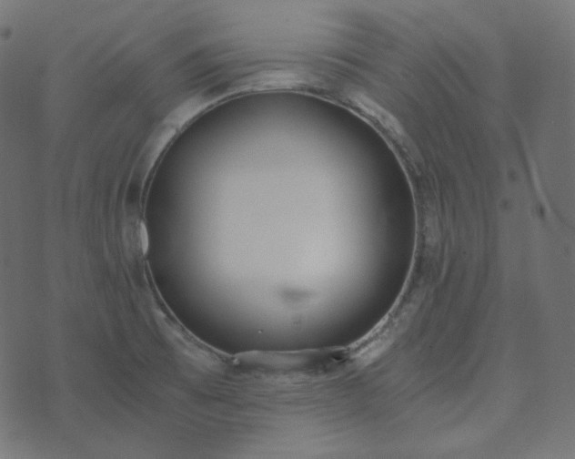 X0000073921473200608181037