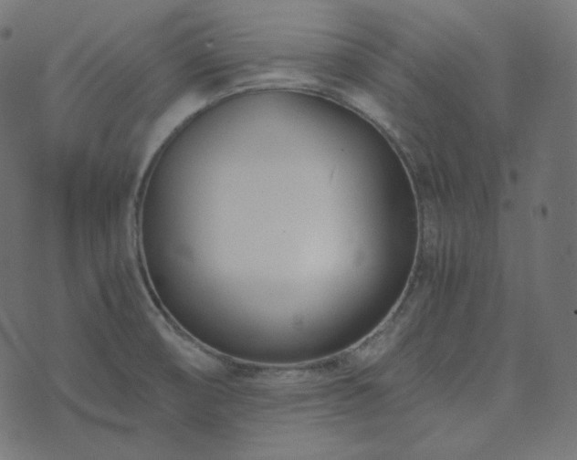 X0000073921474200608181037