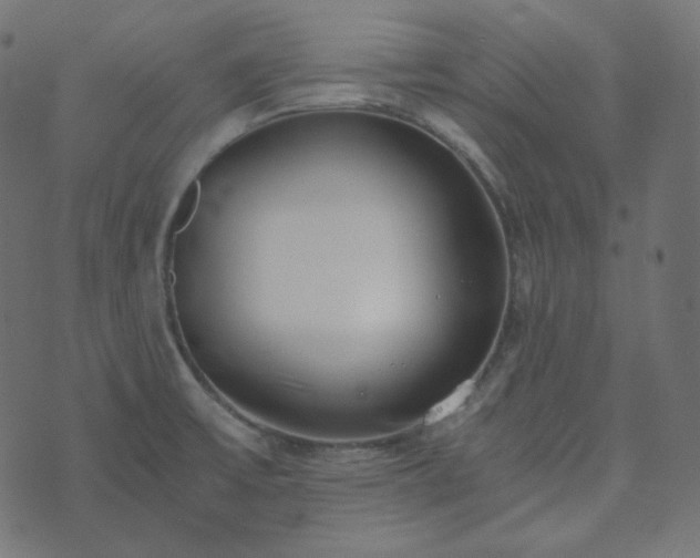 X0000073921475200608181037