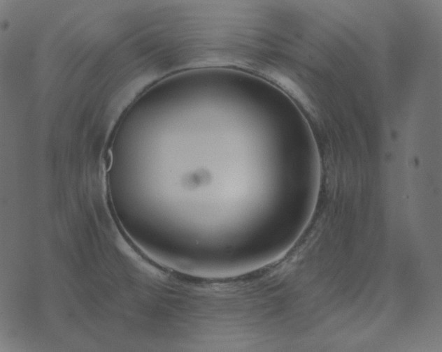 X0000073921476200608181037