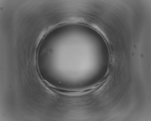 X0000073921477200608181037