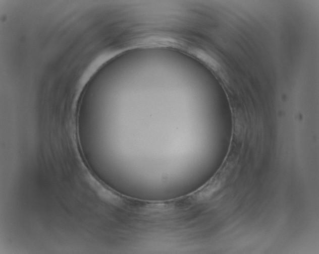 X0000073921478200608181037