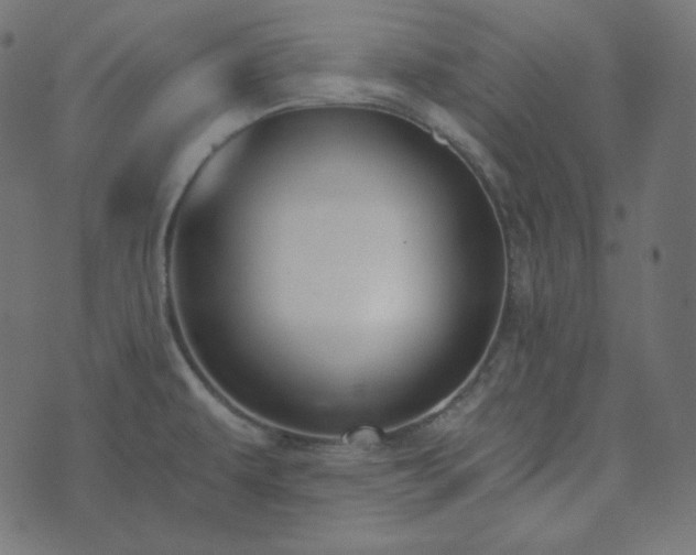 X0000073921479200608181037