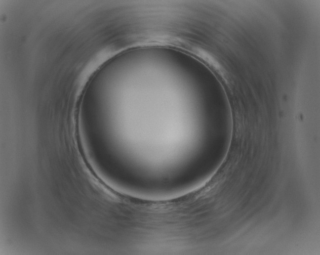 X0000073921480200608181037