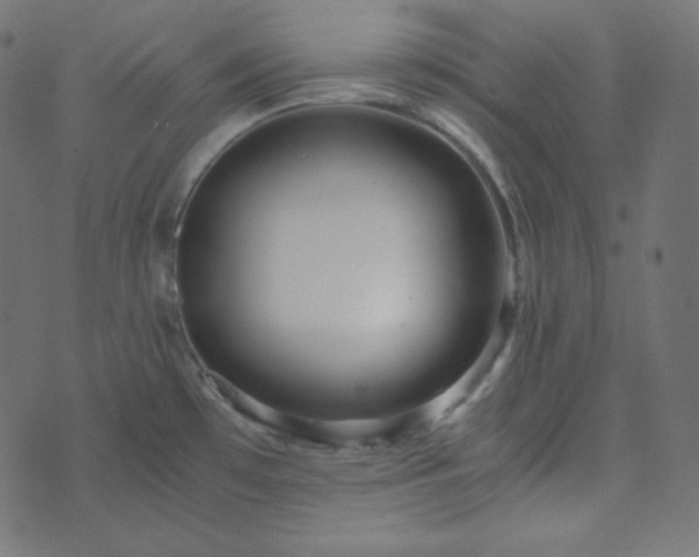 X0000073921481200608181037