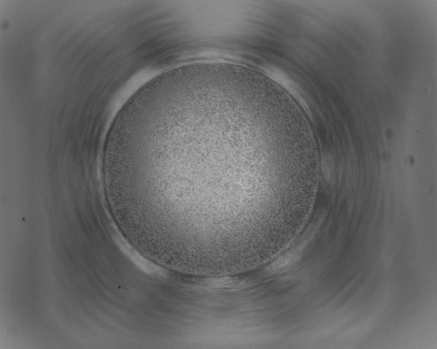 X0000073921482200608181037