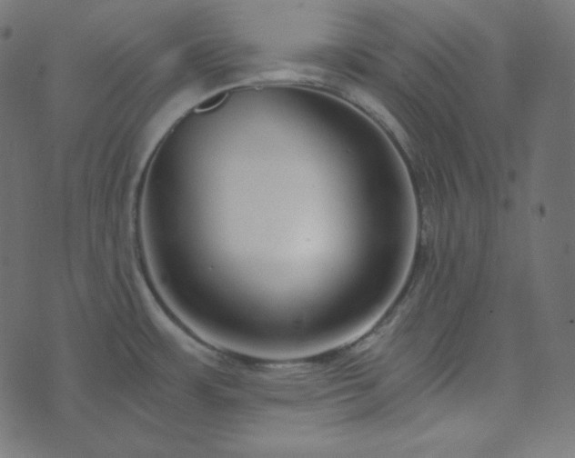 X0000073921483200608181037