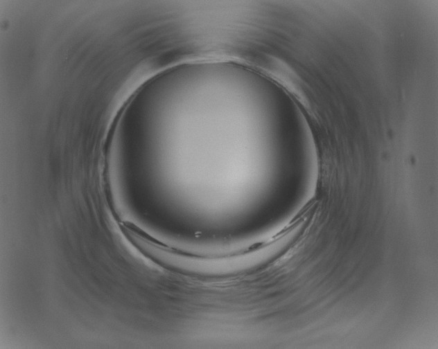 X0000073921484200608181036