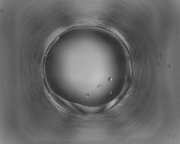 X0000073921485200608181036