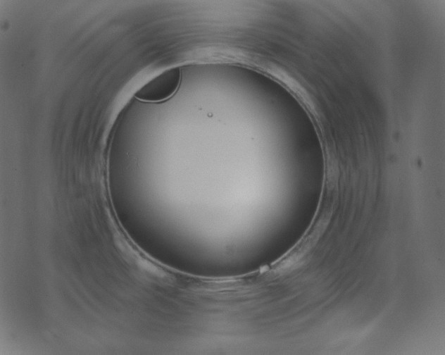 X0000073921486200608181036