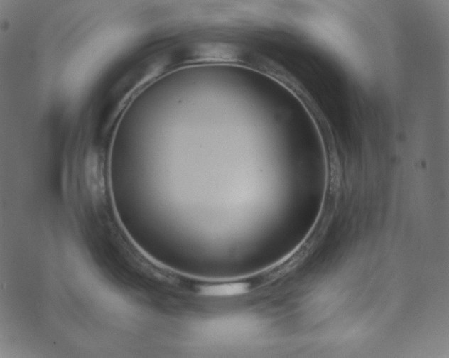 X0000073921487200608181036