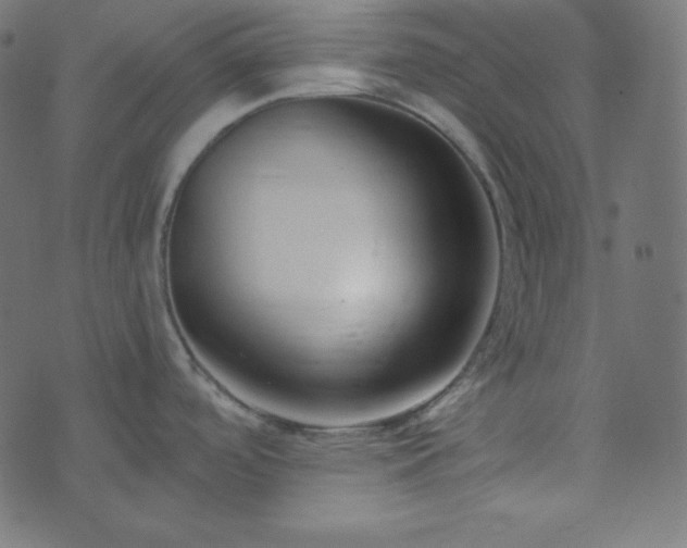 X0000073921488200608181036