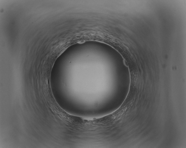 X0000073921489200608181036