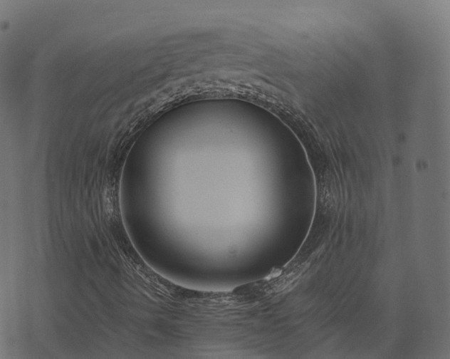 X0000073921490200608181036